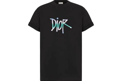 dior and shawn oversized t-shirt|DIOR AND SHAWN Oversized T.